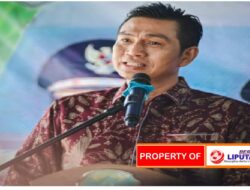 Tahun Depan Honorer Bakal Dihapuskan, Fadhil Arief Minta Tenaga Honorer Persiapkan Diri