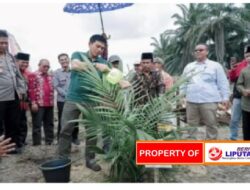 Bupati Batang Hari Mhd Fadhil Arief,SE Secara Simbolis Penanaman Bibit Sawit Replanting Tahab II