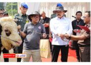 Penyerahan Simbolis Hewan Qurban Hari Raya Idul Adha 1446 Hijriah di Kejaksaan Agung