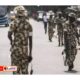 Lewat Serangan Udara Militer Nigeria Babat Habis 100 Bandit