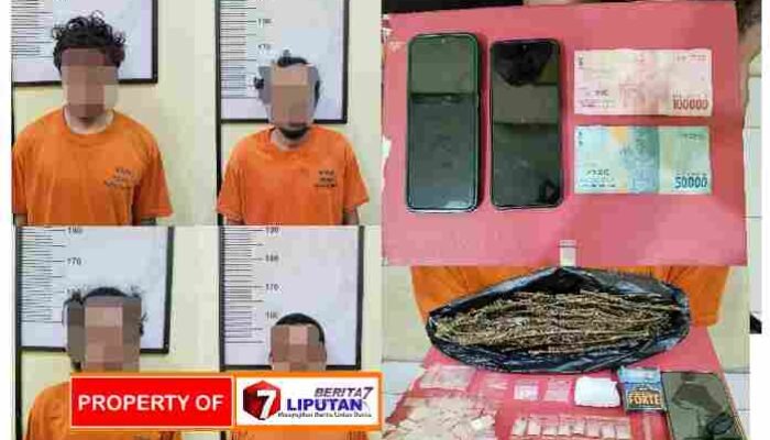 Satresnarkoba Polres Pakpak Bharat Bongkar Jaringan Narkoba, Bandar hingga Pemakai Diciduk dalam Operasi Pengembangan