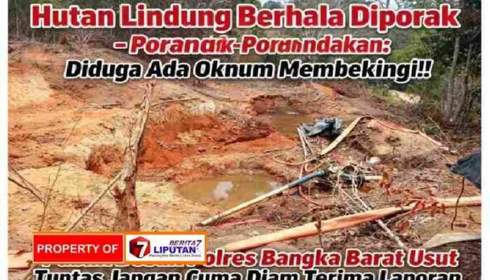 Hutan Lindung Berhala Diduga Diporak-poranda Tambang: Siapa Pemodal dan Beking di Baliknya? Polres Bangka Barat Didesak Usut Sampai Akar!